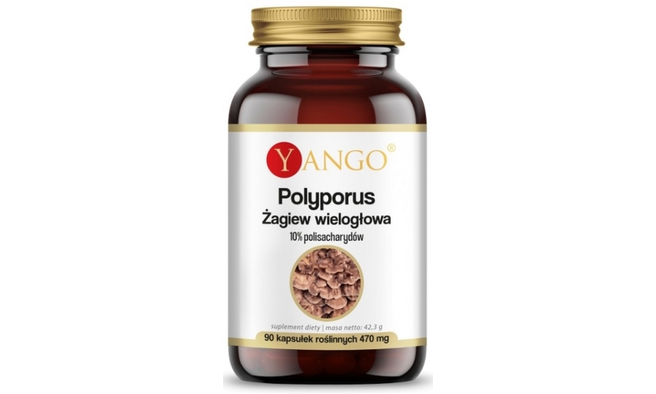 Yango Polyporus Żagiew Wielogłowa 90kapsułek