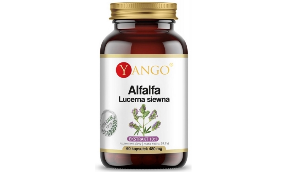 Yango Alfalfa Lucerna Siewna 60kapsułek