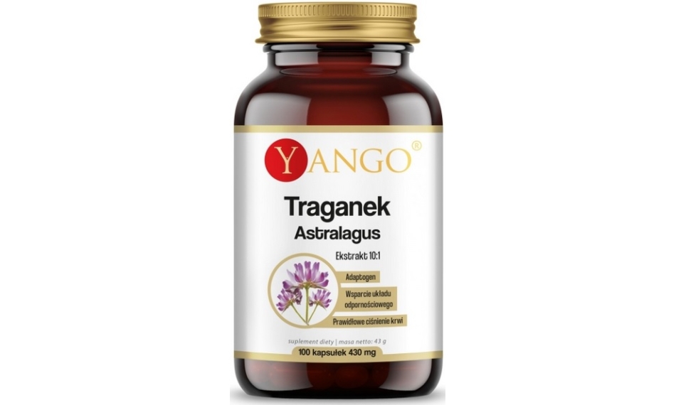 Yango Traganek Astragalus Ekstrakt 10:1 100kapsułek