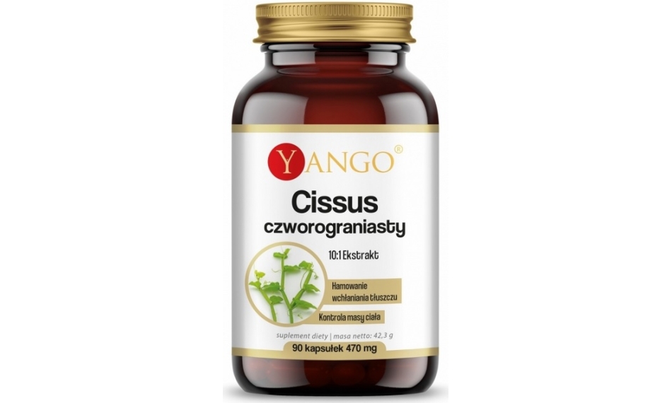 Yango Cissus Czworograniasty 90kapsułek