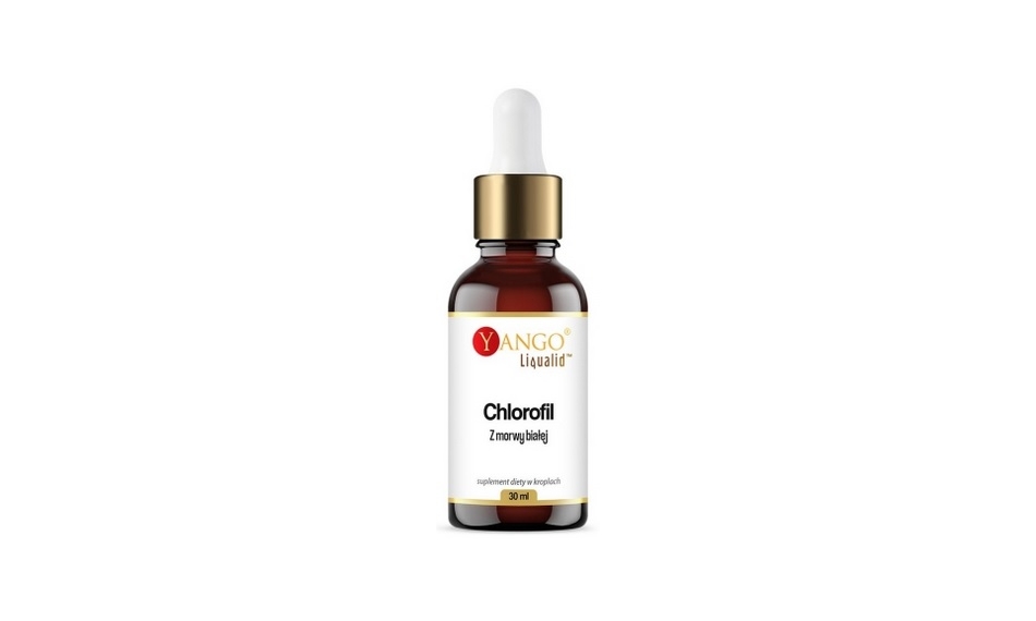 Yango Chlorofil z Morwy Białej 30ml